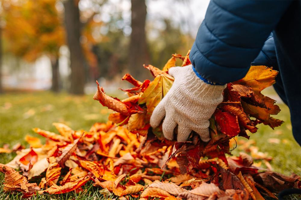 Pulizia: Addio foglie secche ed erbacce