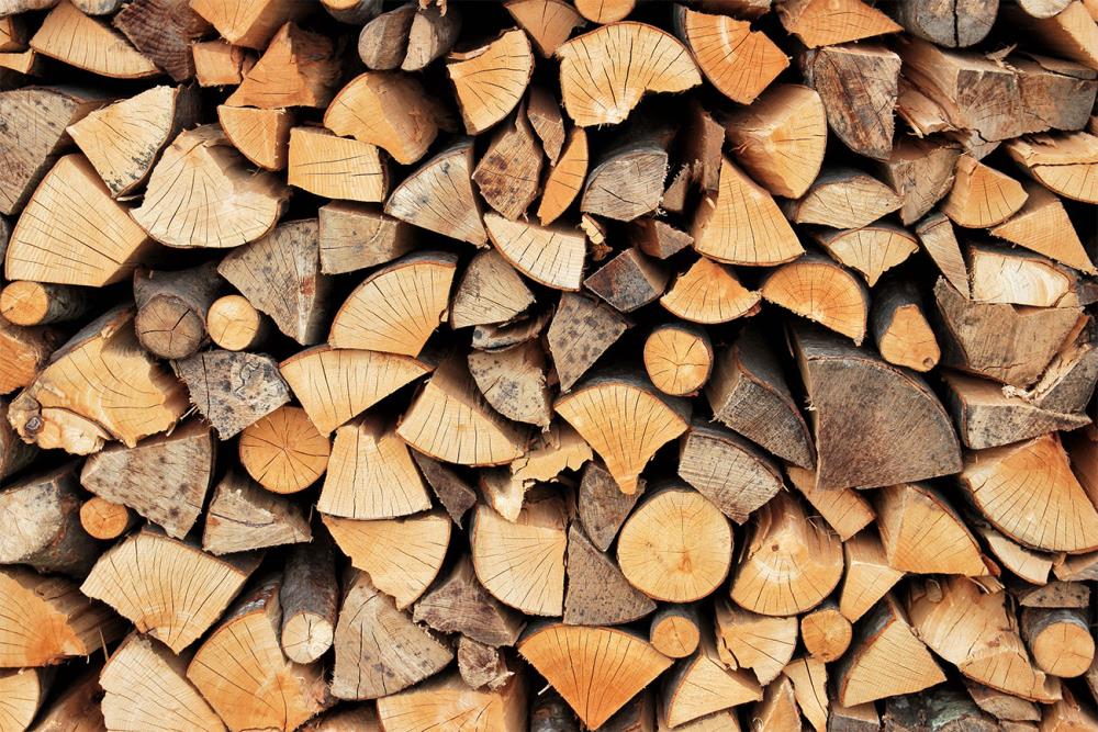 Come tagliare la legna da ardere? Ti aiuta lo spaccalegna