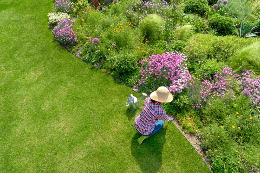 Come curare il giardino in estate: consigli specifici per il prato nei mesi caldi