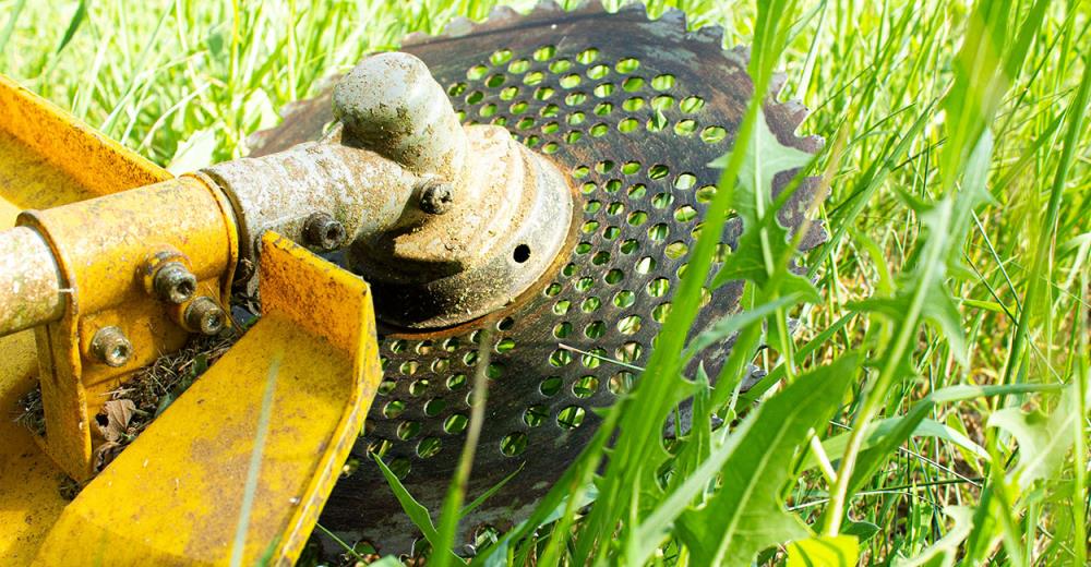 Devi tagliare l’erba in un giardino incolto o abbandonato? Usa il disco per decespugliatore!