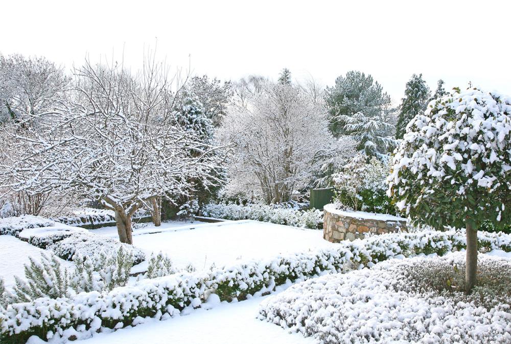 Neve in giardino: Pro o Contro?