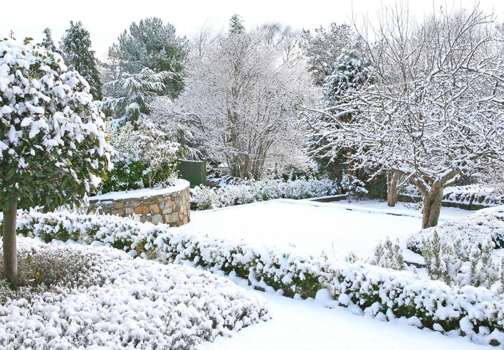 Perché proteggere orto e giardino dal freddo? Ecco i vantaggi