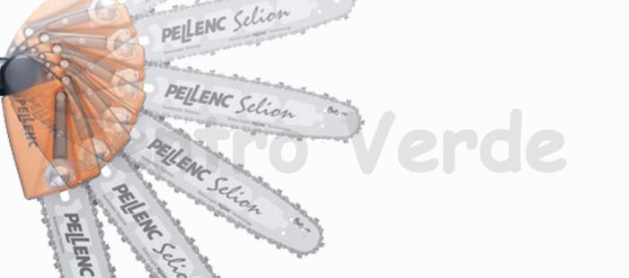 Vinion 250 + Potatore Selion T220-300 Pellenc